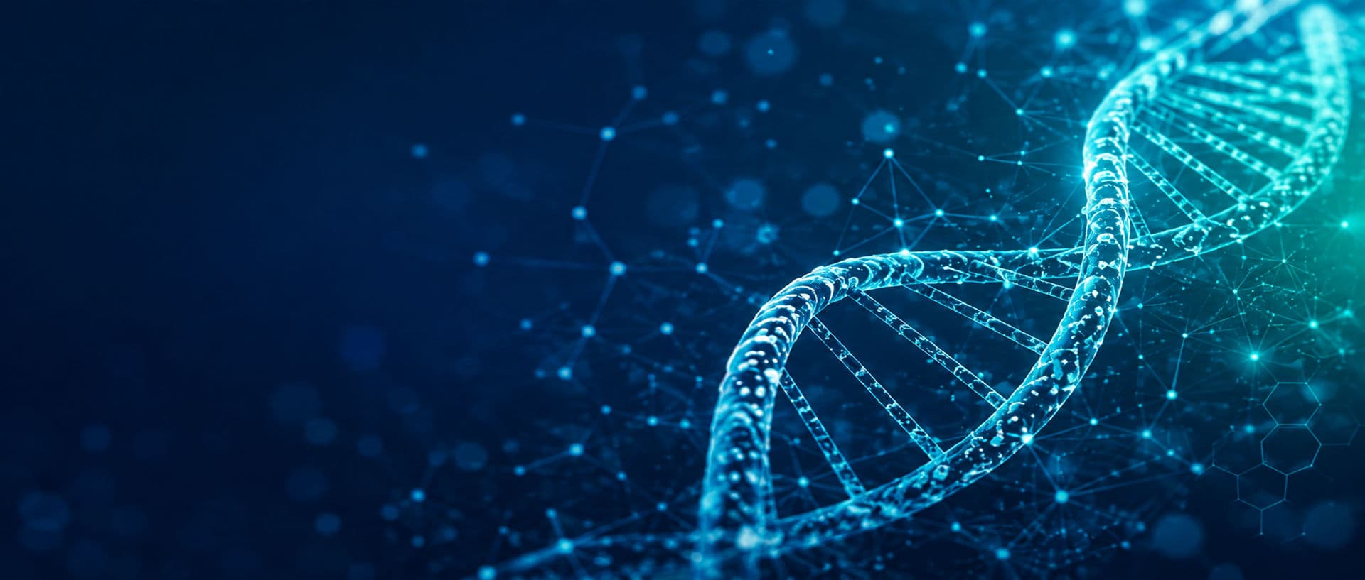 Abstract visualisation of a DNA strand within a data network